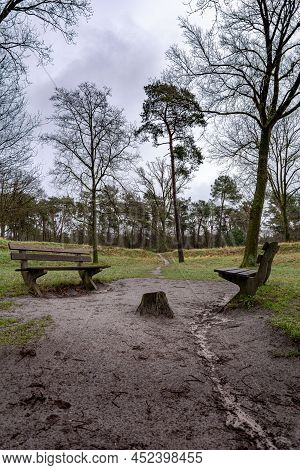 Relaxing Benches On The Muddy Footpath At The Meadow