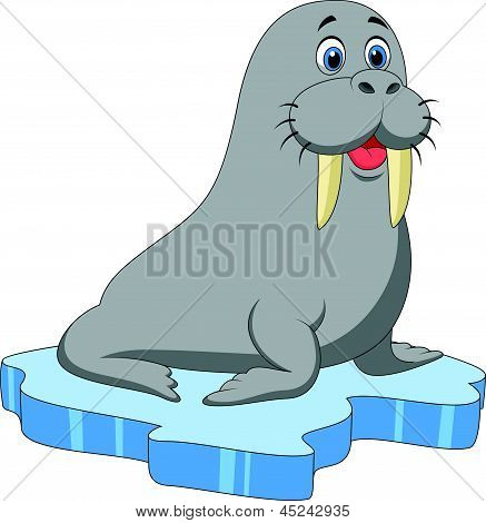 Schattig walrus Beeldverhaal over ijs