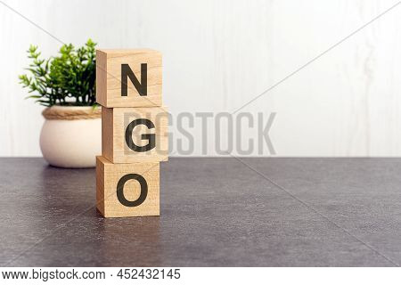Letters Of The Alphabet Of Ngo On Wooden Cubes, Green Plant, White Background