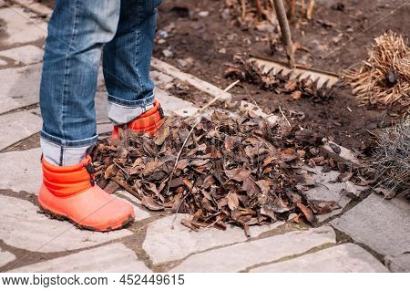 Cropped Farmworker Legs Gathering Old Fallen Dry Leaves, Foliage And Cleaning Area Using Rake. Organ
