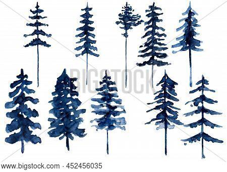 Watercolor Drawing Of Pines Isolated On White Background. Hand Painted Illustration Of Forect Tree S