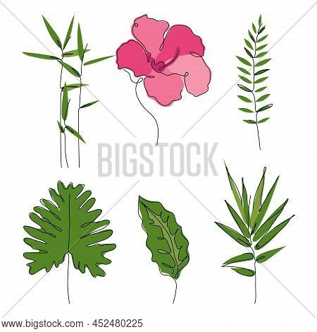 This Is A Vector Illustration Set  Of Exotic Tropical Botany Split Leaf, Bamboo Leaf, Hibiscus Flowe