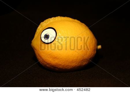 Citron Blowfish