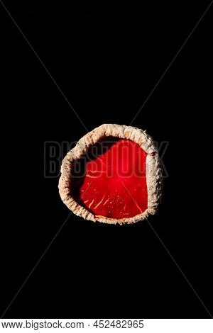 Sarcoscypha austriaca or Sarcoscypha coccinea isolated