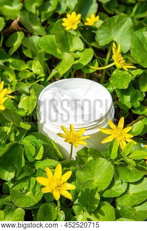 Foraged And Wild-harvested Beauty