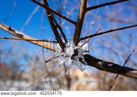 Iced Water Drops In Ifrane City In Morocco