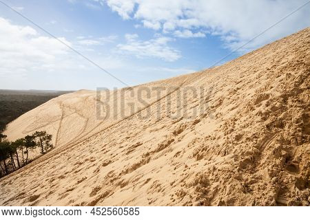 Panorama Of The Sandy Pila Dune (dune Du Pyla) With The Pine Forest Of Landes De Gascogne In Backgro