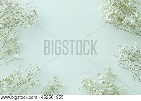 Gypsophila Flowers On Green Pastel Background, Minimalism, Spring Flower Blosssom Concept, Flat Lay,