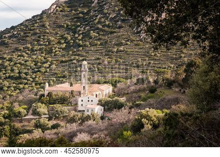 The Couvent De Corbara, The Ancient Convent Outside The Village Of Corbara In The Balagne Region Of 