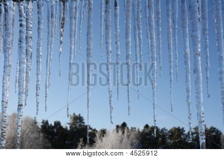 Icicles