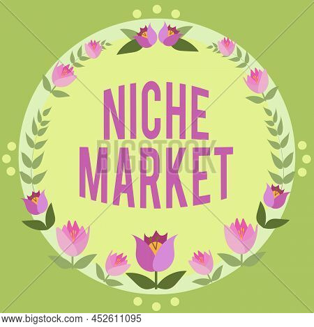 Text Showing Inspiration Niche Market. Business Overview Subset Of The Market On Which Specific Prod