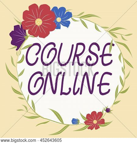 Conceptual Caption Course Online. Business Approach Elearning Electronic Education Distant Study Dig