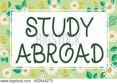 Hand Writing Sign Study Abroad. Business Approach Pursuing Educational Opportunities In A Foreign Co