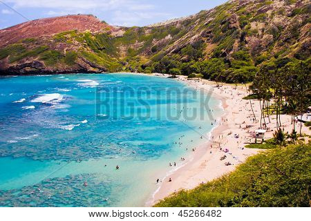 อ่าว Hanauma ส่วนสถานที่เที่ยวในอัวฮู ฮาวาย