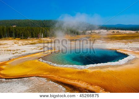บลูพูลดาวในอุทธยานแห่งชาติ สหรัฐอเมริกา