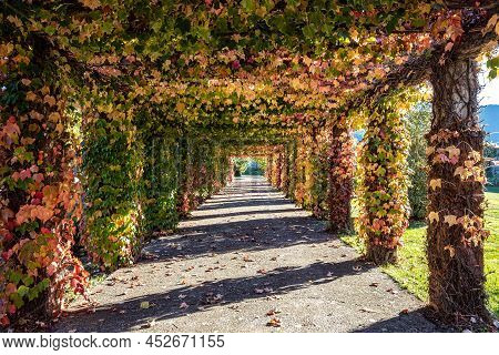 Portico With Autumnal Leaves On The Christian Graveyard In Jaca, Spain. Cementerio Municipal De Jaca