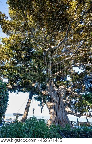 Alameda De Apodaca, A Public Park And An Example Of The Eclectic Style Of Regionalism In Cadiz, With