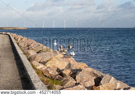 Flock Of Swans On The Sea And Wind Turbine Farm Power Genarator In Beautiful Nature Landscape. High 