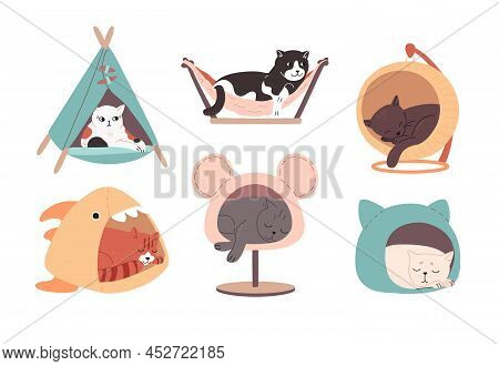 Multi-colored Cats Of Different Breeds Rest In Cat Houses. Tired Adorable Kittens Sleep In Pet Beds.