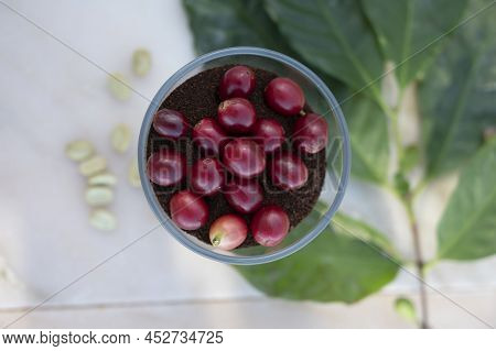 Red Ripe Arabica Coffee Berries, Green Coffee Beands, Leaves And Roasted Ground Coffee In Glass On M