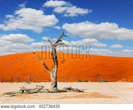 The Namib-Naukluft Park. Picturesque dried fossilized remains of trees at the bottom of the dried-up Lake Sossusflei. Africa, Namibia. Vivid huge red and orange sand dunes 