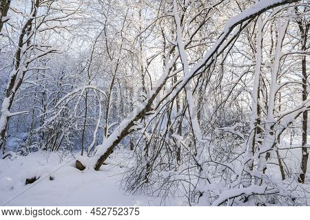 Mankinjoki Rapids Area In Winter, Espoonkartano, Espoo, Finland