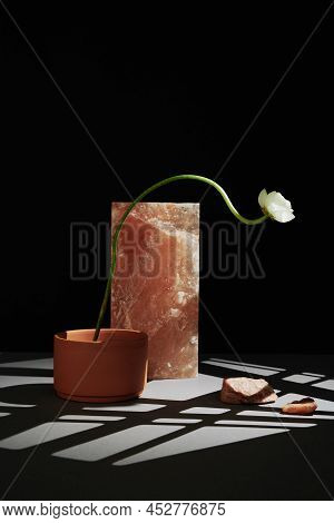 Vertical Minimalistic Still Life Composition Of One White Flower In Clay Pot And Pink Rock Salt On T