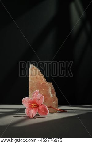 Vertical Minimalistic Still Life Composition Of Beautiful Flower And Pink Rock Salt On Gray Table Ag