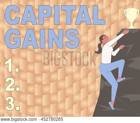 Text Caption Presenting Capital Gains. Internet Concept Bonds Shares Stocks Profit Income Tax Invest