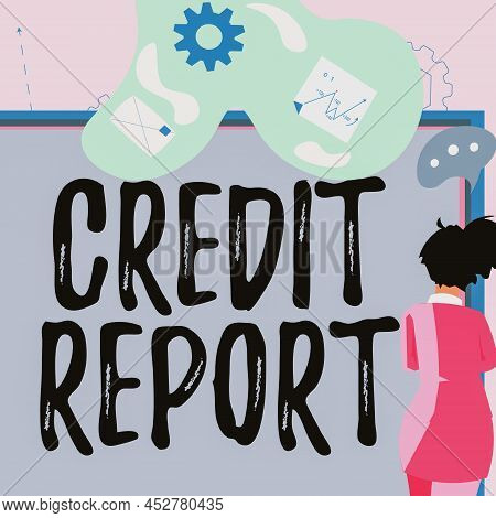 Conceptual Display Credit Report. Business Concept Borrowing Rap Sheet Bill And Dues Payment Score D