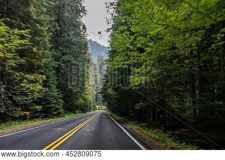 A Long Way Down The Road Of Mt Rainer Np, Washington
