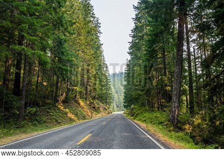 A Long Way Down The Road Of Mt Rainer Np, Washington