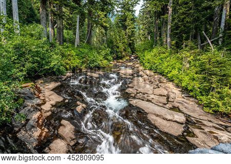 An Overlooking Landscape View Of Mt Rainer Np, Washington