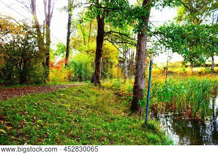 Light Autumn Forest At The Shore Of Holzmaar