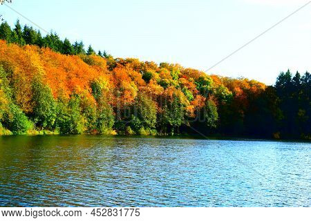 Autumn Colors Of Holzmaar In The Eifel