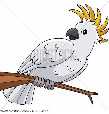 This Cartoon Illustration Shows A Cockatoo Animal Illustration.