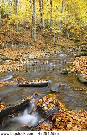Nature Landscape With Leaf Fall On River, Covered Colorful Foliage,  In Mountain Gorge On Turichka R