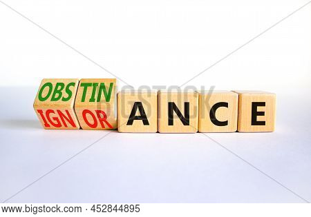 Obstinance Or Ignorance Symbol. Turned Wooden Cubes And Changed The Word Ignorance To Obstinance. Be