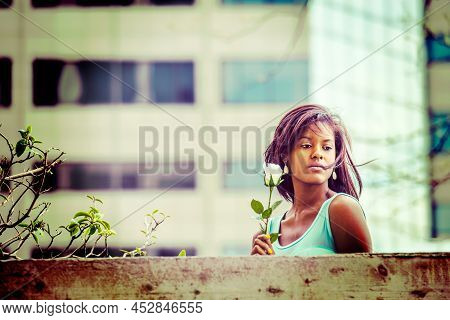 Holding White Rose, Hair Floating In Wind, Young African American Woman Standing Behind Top Of Wall 