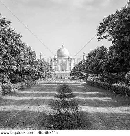 Taj Mahal One Of The Wonder Of The World View From Mehtab Bagh Garden Side, Taj Mahal, Agra, Uttar P