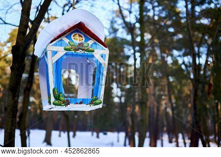Painted Earlyflower Bird Feeder In Cold Winter Forest