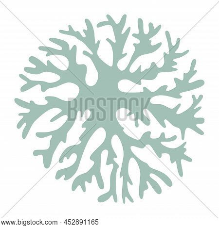 Round  Green Lichen, Cetraria Icelandic Design For Logo Or Icon