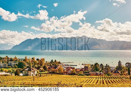 Beautiful Landscape Of Lavaux Vineyards And Lake Geneva, Pully, Switzerland