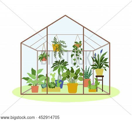 Planting Greenhouse. Glass Garden Glass House, Flowers And Potted Plants. Vector Illustration Of Hob