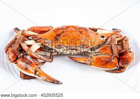 Close Up Of A Just Cooked Callinectes Sapidus Commonly called  Jaiba In Colombia Isolated On White B