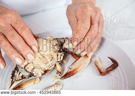Close Up Of  The Process Of Breaking Down A Fresh Crab To Take Out The Flesh