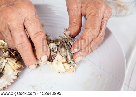 Close Up Of  The Process Of Breaking Down A Fresh Crab To Take Out The Flesh
