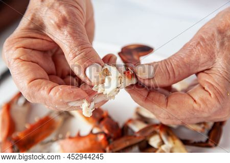 Close Up Of  The Process Of Breaking Down A Fresh Crab To Take Out The Flesh