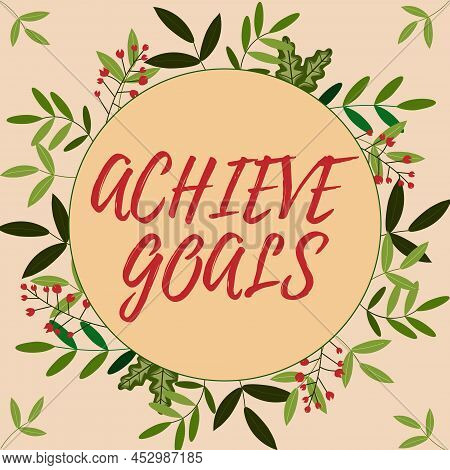 Writing Displaying Text Achieve Goals. Conceptual Photo Results Oriented Reach Target Effective Plan