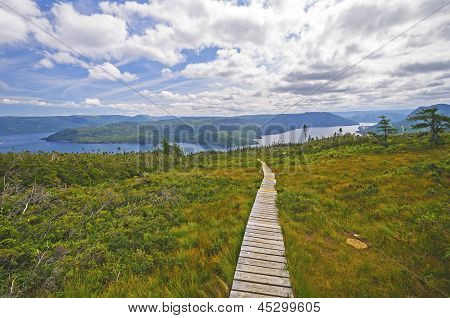 Trail til et Ocean indløb